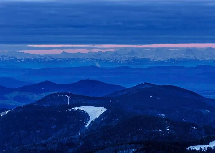 Schulz Appartement *
