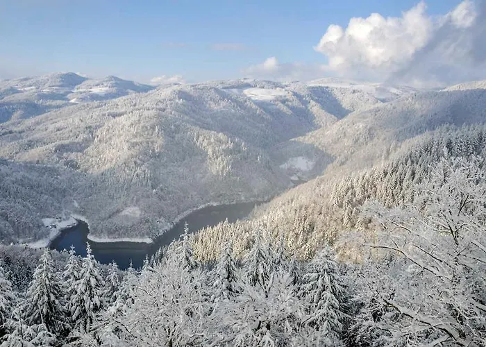 Schulz Appartement *